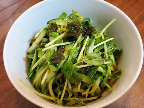 豆苗ときゅうりのグリーンサラダ